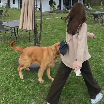 嗜育者